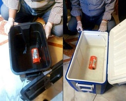 EgyptAir black box flight recorder ‘has been repaired’