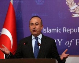 Turkey moots cooperation with Russia in fighting IS