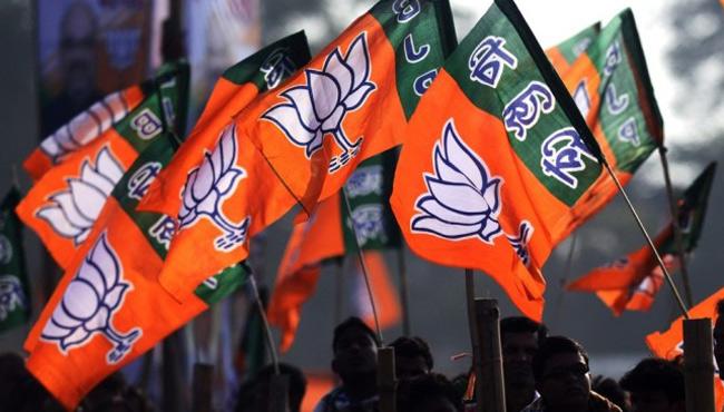Now, BJP to go it alone in Andhra polls!