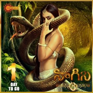 Naagini 3 New Daily Serial – E242 – 22nd June