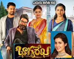 Bhagya Rekha Telugu Serial – E376 – 6th Nov