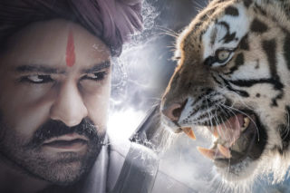 Exclusive: NTR’s Fight With Real Tiger In ‘RRR’