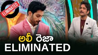 Bigg Boss 3 Telugu Finale Live Updates- Ali Reza Eliminated, who are the winner and runner up?