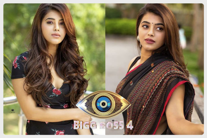 Bigg Boss 4: Telugu beauty to enter the house
