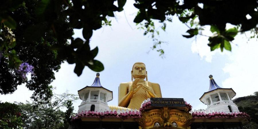 Indian national arrested on charges of vandalising Buddha statues dies in Sri Lankan hospital