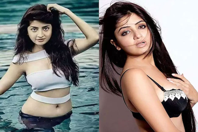 Whom Did Poonam Kaur Target In Her Latest Tweet?