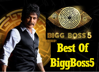 Bigg Boss 5 Telugu Show – Top 5 Journey