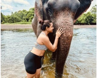 Vithika’s Social Media Roars with Enchanting Vacation Pictures