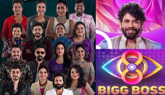 BiggBoss 8 Telugu Show – E47 – 17th Oct – Mega Chief Task